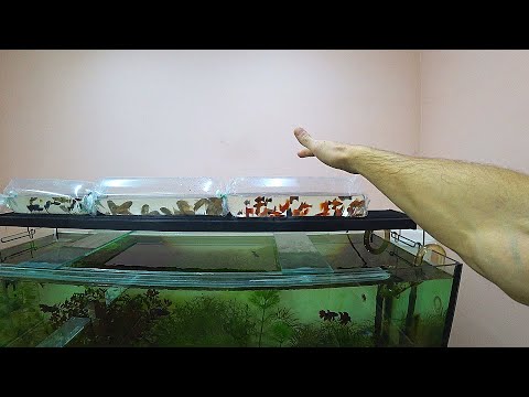 Видео: Работаю без света, а шо делать