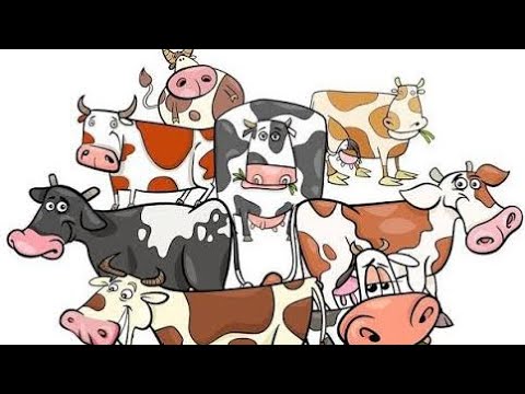 Видео: От доброго слова язык не отсохнет. Штурм Покровска и многое другое.