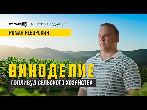 Видео: РОМАН НЕБОРСКИЙ: интервью с главным виноделом "Мезыбь"