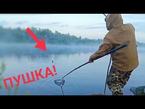 Видео: Кормушки - ПУШКА! Фидерная рыбалка на новом месте. Ночь на берегу. Feeder fishing overnight