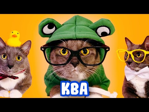 Видео: ЛЕТО В ШКОЛЕ КОТИКОВ