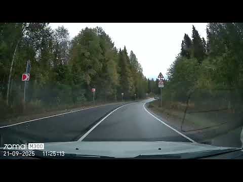 Видео: Красивая карельская дорога. Ведлозеро - Видлица.