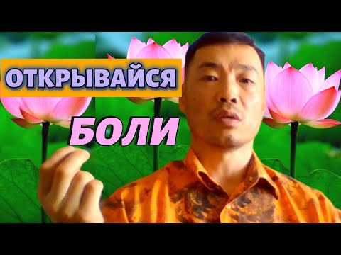 Видео: Каждый Путь выхода из этой матрицы это Язык, который нужно выучить.
