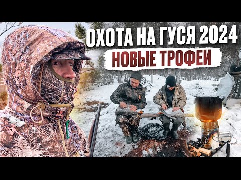 Видео: ОХОТА НА ГУСЯ 2024 // ГУСЬ ЛЕТИТ НА ЮГ! // ЧИСТИМ ТРОФЕИ