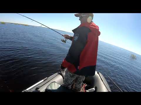 Видео: Открыли сезон  по щуке 2024. Ловля щуки на спиннинг.