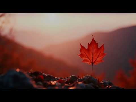 Видео: 🎶🌿🍁А вот и осень к нам пришла🍂 🍁Слова Людмилы Гусевой. 