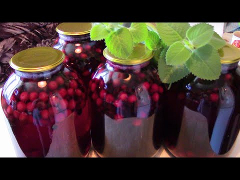 Видео: Компот из вишни и черной смородины на зиму. Очень вкусная и полезная заготовка!