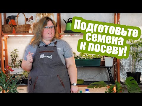 Видео: В чем замачивать семена? РАБОТАЮЩИЕ средства для подготовки семян!