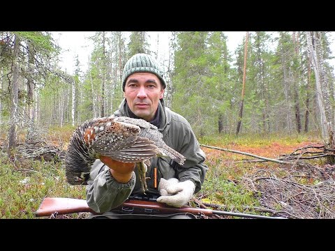 Видео: РАДИ ТАКИХ МОМЕНТОВ СТОИТ СХОДИТЬ В ТАЙГУ / ОХОТА НА БОРОВУЮ ДИЧЬ С МЕЛКАШКОЙ / ОХОТА НА РЯБЧИКА.