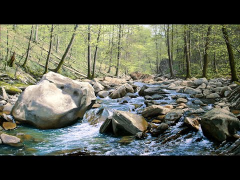 Видео: Пишем картину маслом "Горная река, апрель" Artist Alik Oleynik