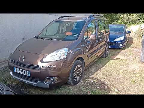 Видео: Peugeot Partner II 1.6 e-HDi  2015 год !!! ОБВАЛ ЦЕН !!! 💥🚘🇫🇷
