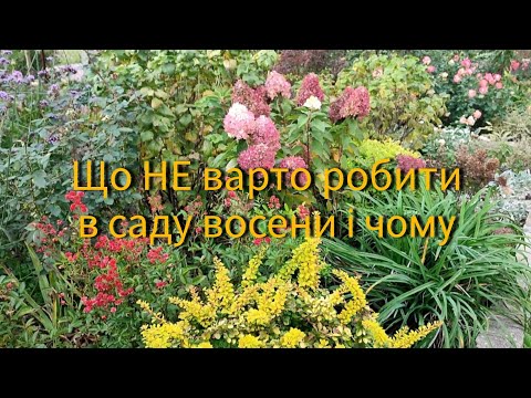 Видео: Що НЕ варто робити в саду восени і чому