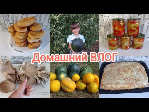 Видео: Домашний ВЛОГ. Новый урожай. Медовые перцы. Вкусная выпечка 