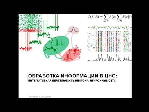 Видео: Лекция 11. Обработка информации в ЦНС (продолжение)