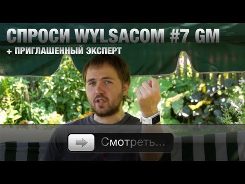 Видео: Спроси Wylsacom #7 GM + приглашенный эксперт