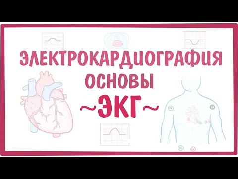 Видео: ЭЛЕКТРОКАРДИОГРАФИЯ  — основы ЭКГ