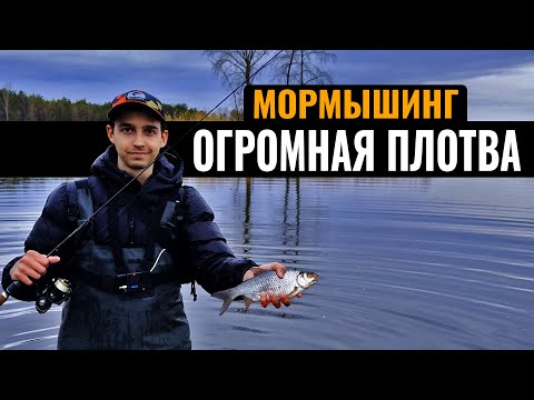 Видео: Мормышинг. Крупная плотва пошла