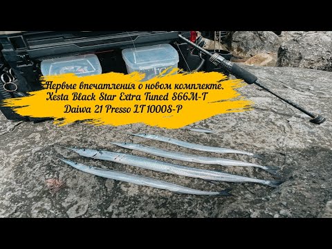 Видео: Первые впечатления о новом комплекте Xesta Black Star Extra Tuned S66M-T Daiwa 21 Presso LT 1000S-P