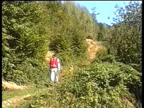 Видео: Іван Чока Вітер з полонини