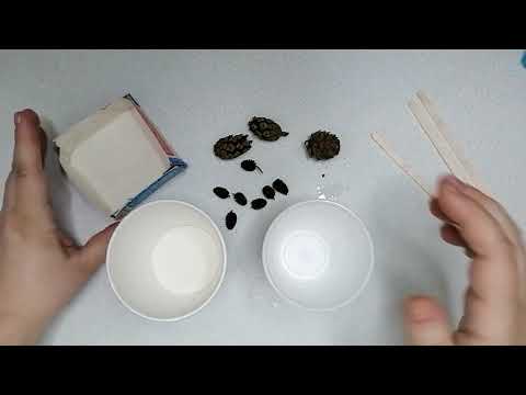 Видео: Изготовление силиконовой формы "Шишка". Часть 1