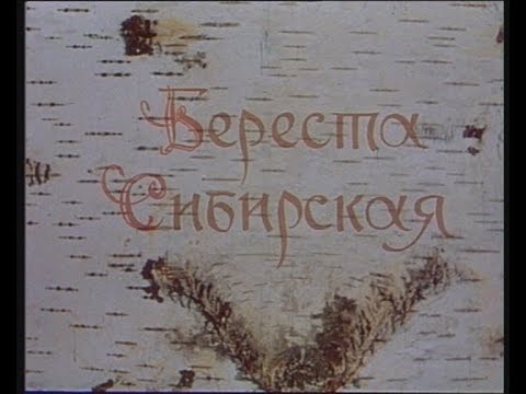 Видео: Береста сибирская
