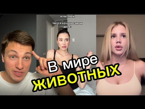 Видео: Смотрю ЖЕНСКИЕ РИЛСЫ и ОХРЕНЕВАЮ | Это просто ШИЗА!