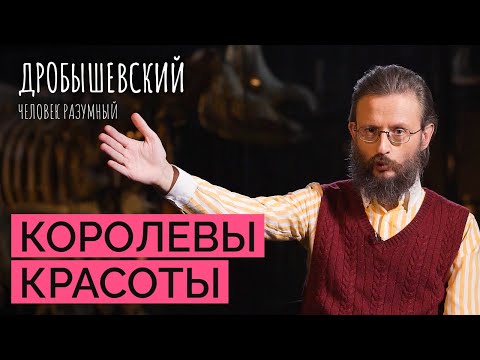 Видео: Венеры палеолита: с чего началось искусство? // Дробышевский. Человек разумный