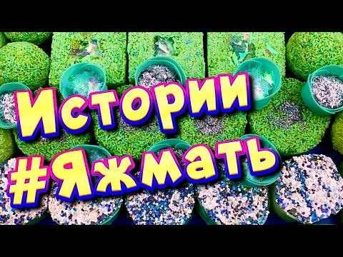 Видео: Истории с мылом и пеной про Яжемать 😅 Яжмать истории от подписчиков #22