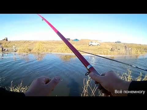 Видео: Рыбалка в Омской  области.Тюкалинск.