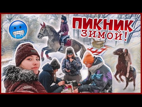 Видео: Зимний ПИКНИК с ЛОШАДЬМИ 😱 2х дневный VLOG