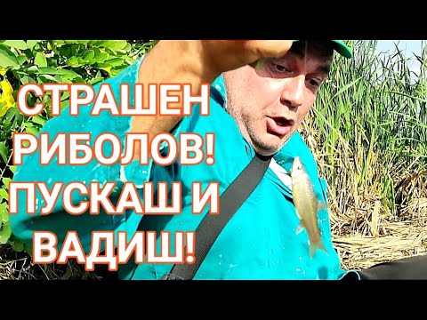 Видео: ТРИ ВИДА РИБА И МНОГО ЕМОЦИИ! РИБОЛОВ НА ШАРАН, ТАРАНКА И... ОКТОМВРИ НА ХЛЯБ В ПЛИТКАЖА НЯМА ПРАЗНО