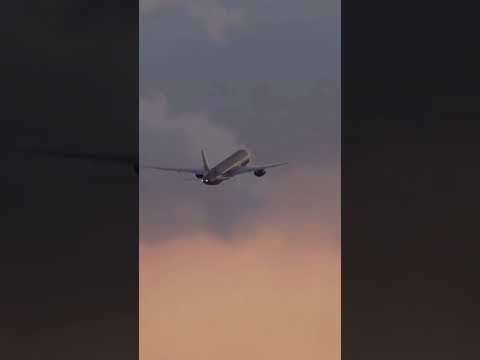 Видео: tasheva -Върни се у дома