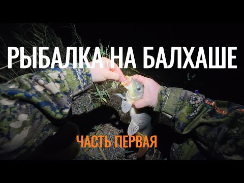Видео: Рыбалка в посёлке Байтал на протоках Балхаша. Ловлю сазана и воблу.