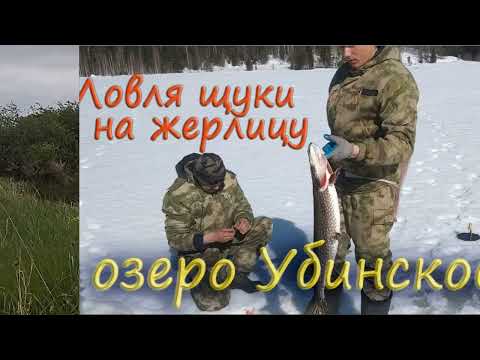Видео: Кто хозяин Убинского озера? #18