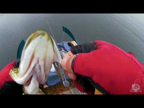 Видео: 2 часть SPORTEX Hydra Speed UL2101 Мысли и впечатление