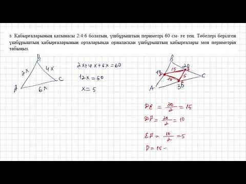 Видео: 8-сынып геометрия 1-тоқсан тжб