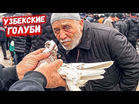 Видео: ТАШКЕНТ ПТИЧИЙ РЫНОК ЯНГИАБАД