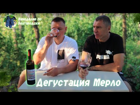 Видео: Видите Мерло? А он есть!!!