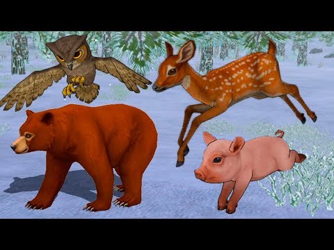 Видео: СИМУЛЯТОР МАЛЕНЬКОГО ПИТОМЦА #13 WildCraft - пурумчата