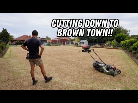 Видео: Подрезаю газон, чтобы он стал здоровее!! // ОГРОМНАЯ реконструкция газона в конце лета, часть 1: ...