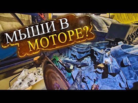 Видео: Работаю автомехаником в Канаде Калгари. #автомеханик