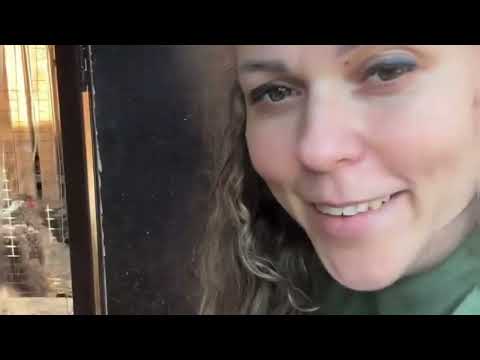 Видео: Взяли котят наши деревенские будни на Кубани #garden #жизньзагородом #рецепты #огород #shorts