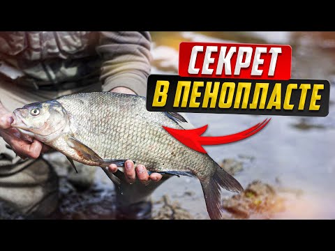 Видео: Бешеный клев огромных лещей и сазана на пенопласт и кукурузу.