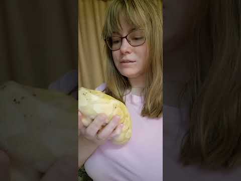 Видео: Ругаю питона Педро, юмористическое видео :)