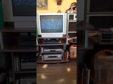 Видео: Реклама на VHS "Смешарики. Выпуск 2. События века" (2004) от Союз-Видео (2005)