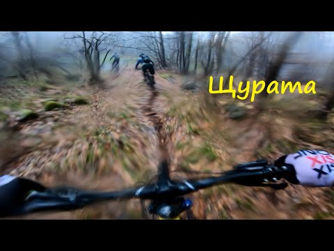 Видео: Щурата пътека в диво време