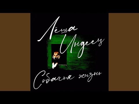 Видео: Собачья жизнь