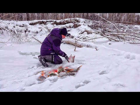 Видео: ТА САМАЯ ЛУНКА, КОТОРУЮ Я ИСКАЛ! Поклёвка, которую не забыть! Рыбалка на балансиры в коряжнике