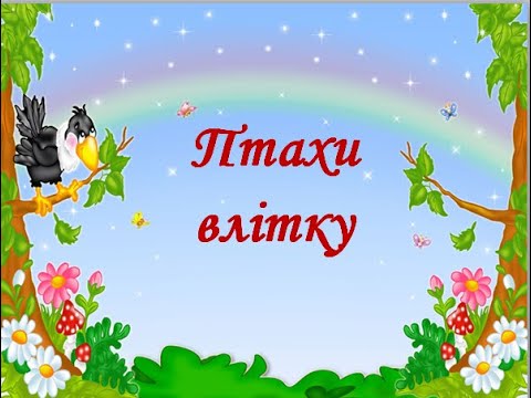 Видео: Птахи влітку (ІІІ частина з теми "Тварини влітку")