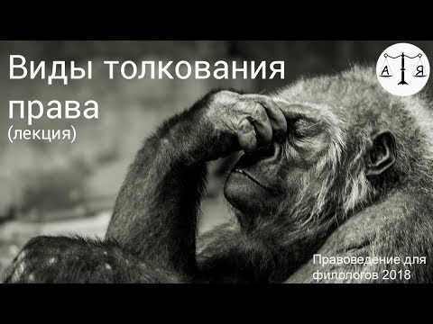 Видео: Виды толкования права (лекция)